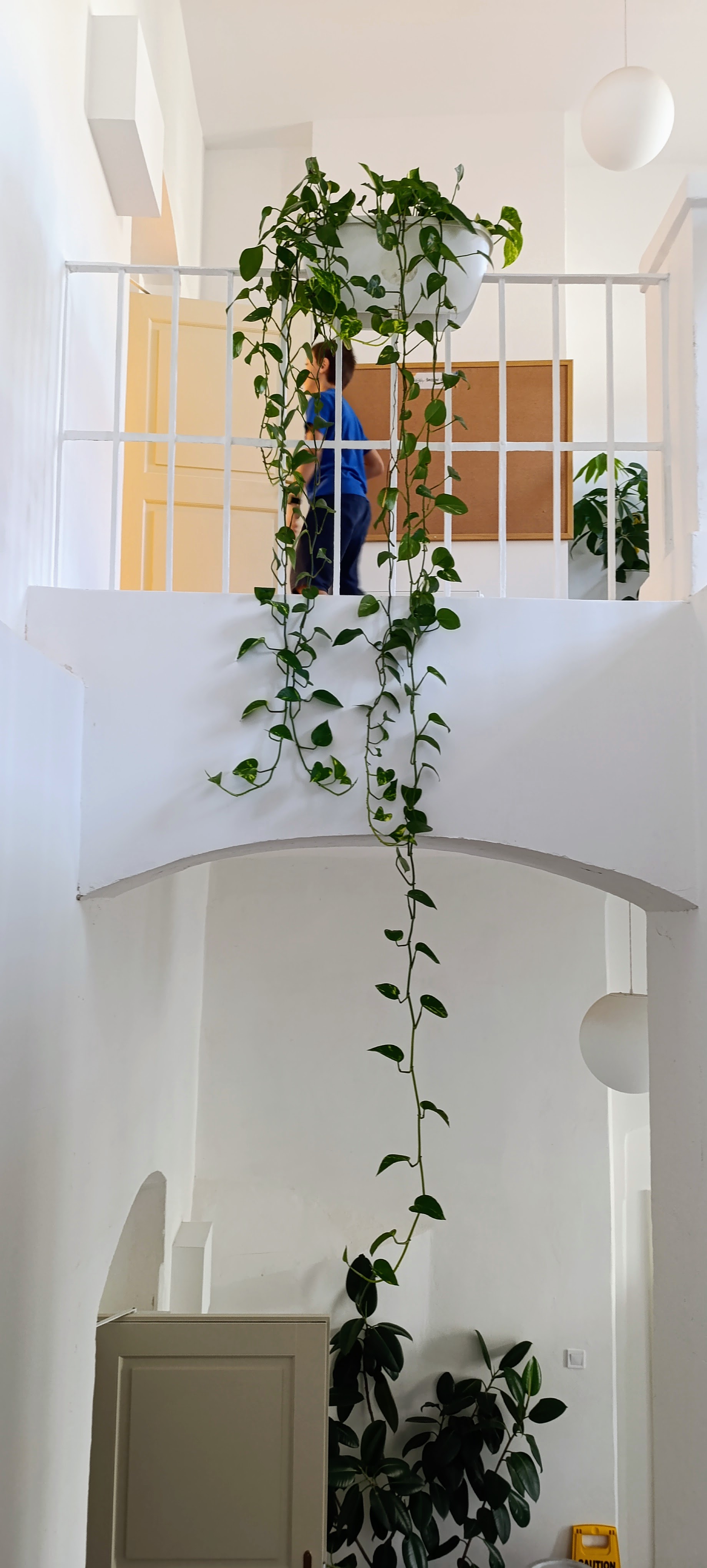 IMG 20260903 075417